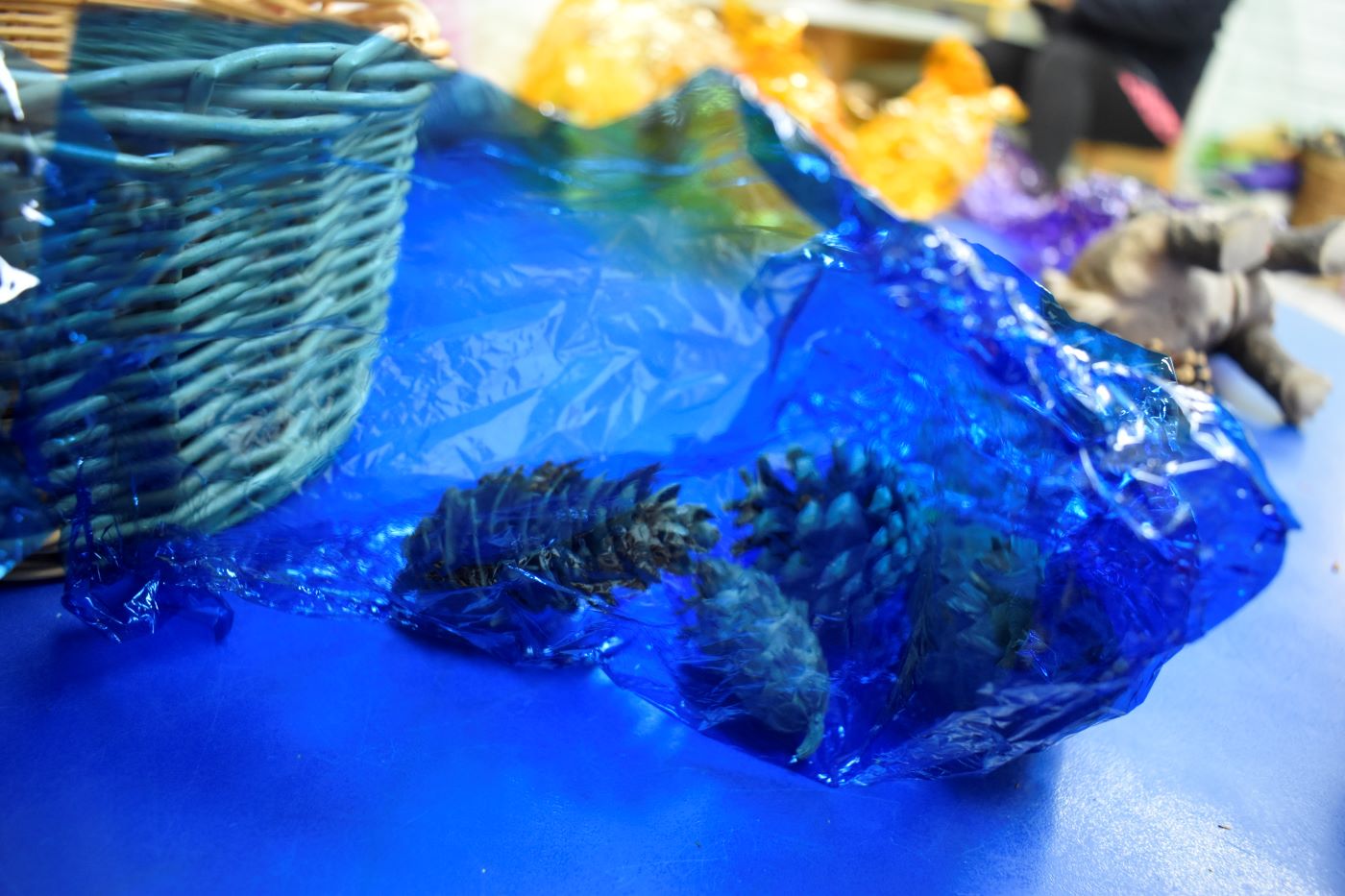 piñas de arbol sobre papel plastico de color azul