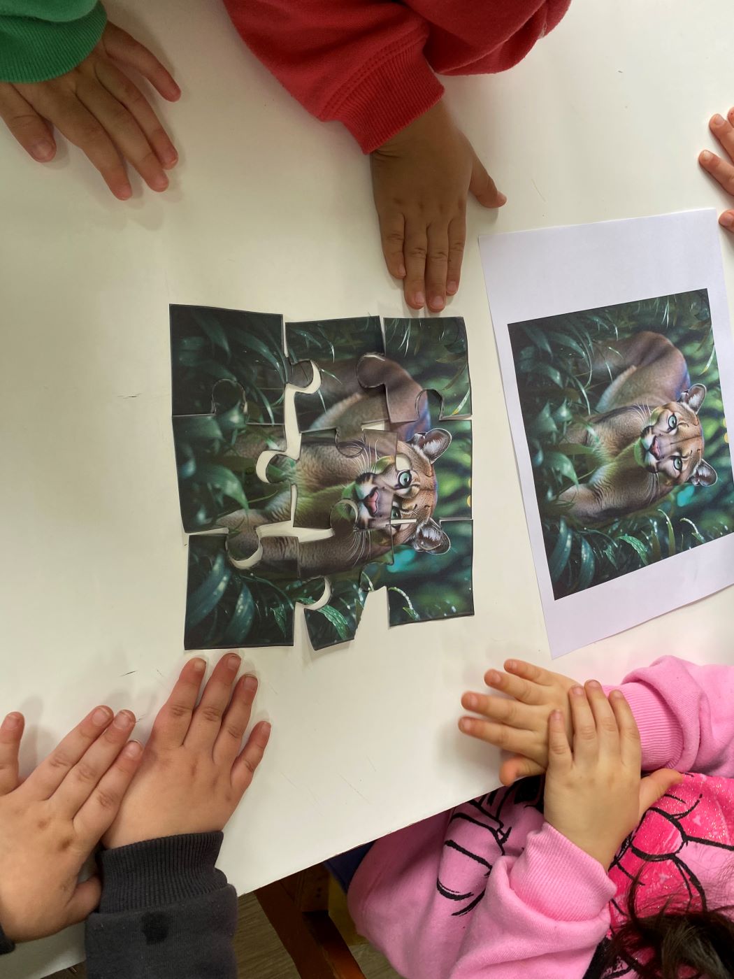 Proyecto jardin descubriendo animales en movimiento manos de niñas y puzzle de puma