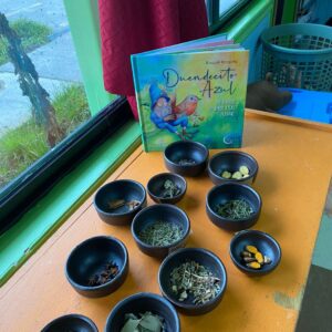 proyecto explorando los sentidos posillos de gredas con especias