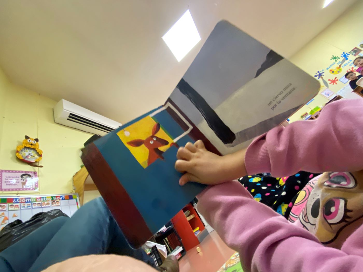 proyecto botiquín literario manos de niña sosteniendo un libro