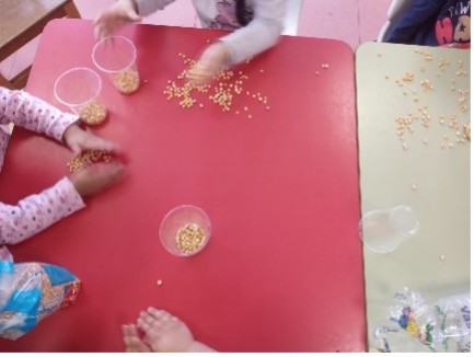 proyecto experiencias sonoras musicales manos de niños tocando semillas