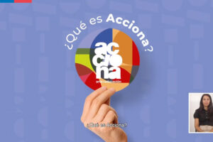 qué es acciona
