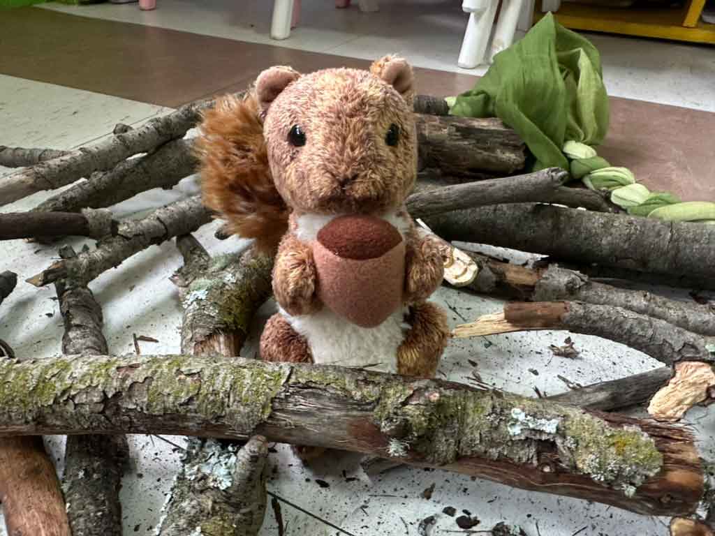 proyecto a donde vamos ardilla de peluche y troncos