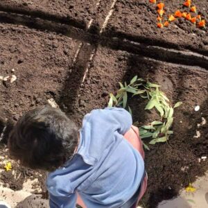 niños y niñas haciendo esquemas con flores y hojas sobre la tierra